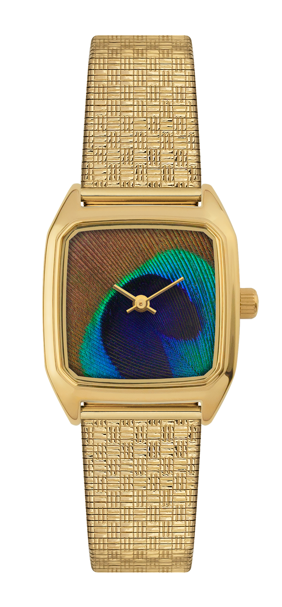 Prima. Peacock Gold