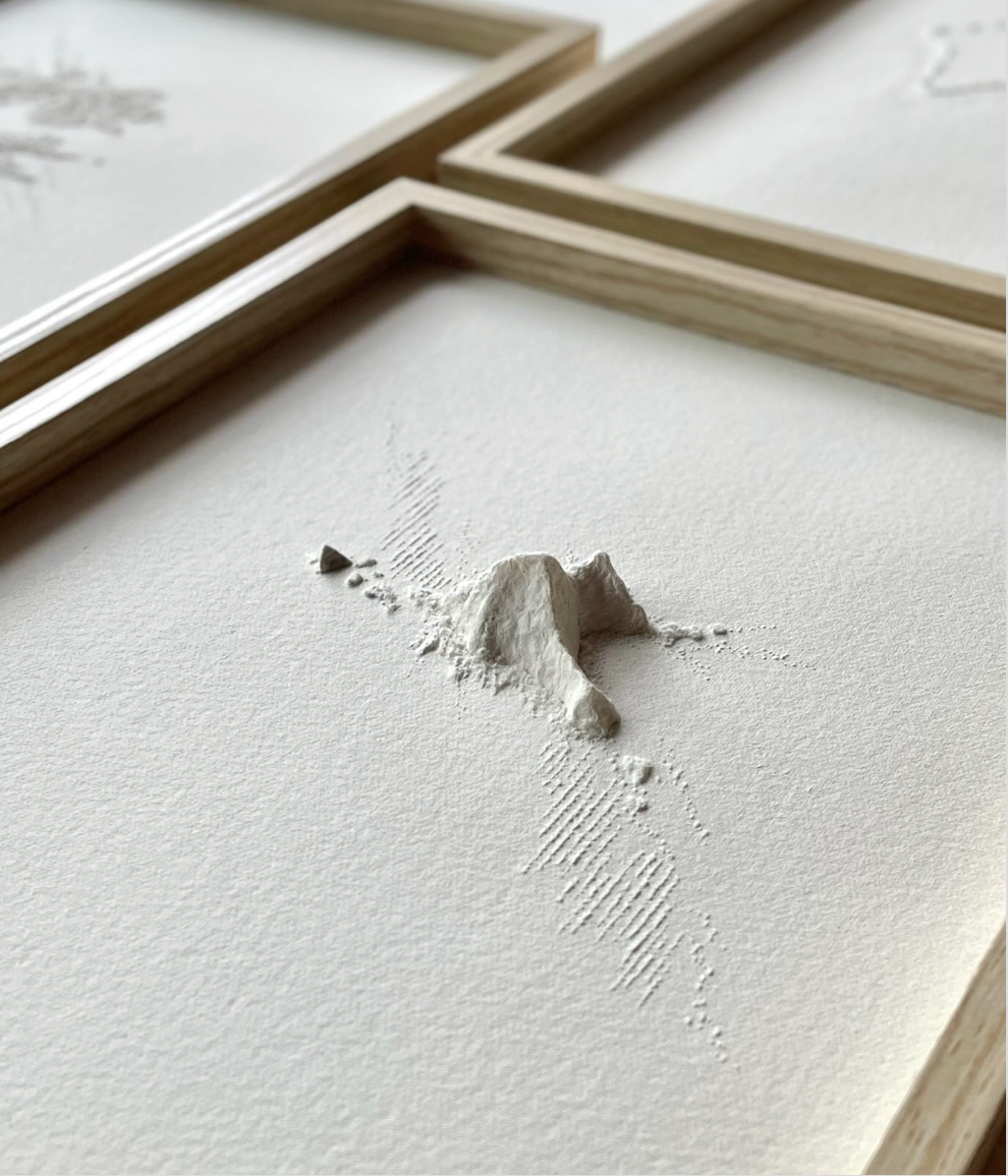 Antonin Anzil x LAPS Editions