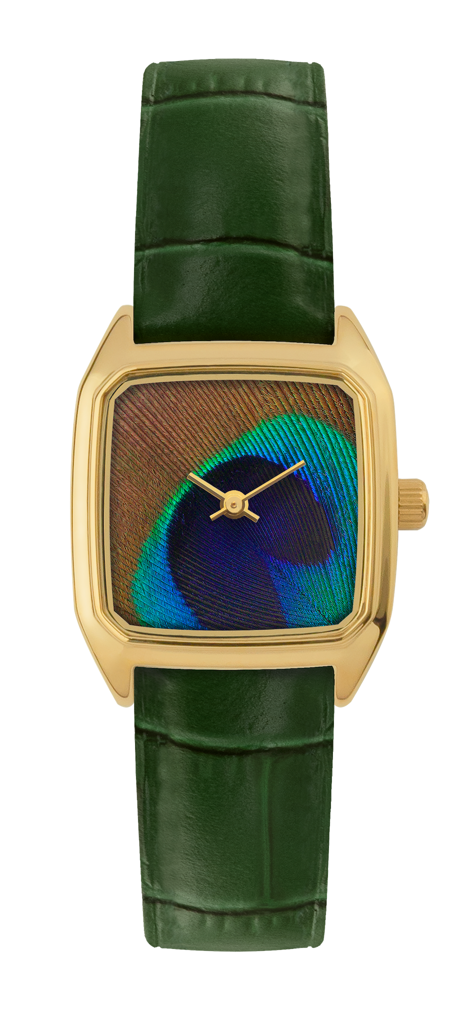 Montre LAPS dorée à cadran plume de paon et bracelet en cuir croco vert
