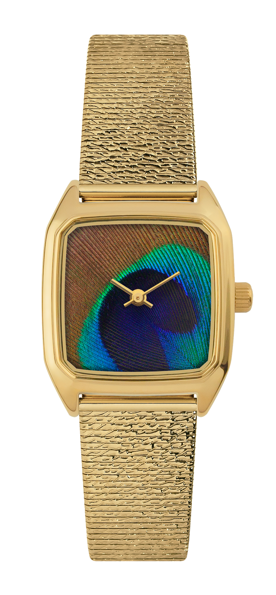 Prima. Peacock gold